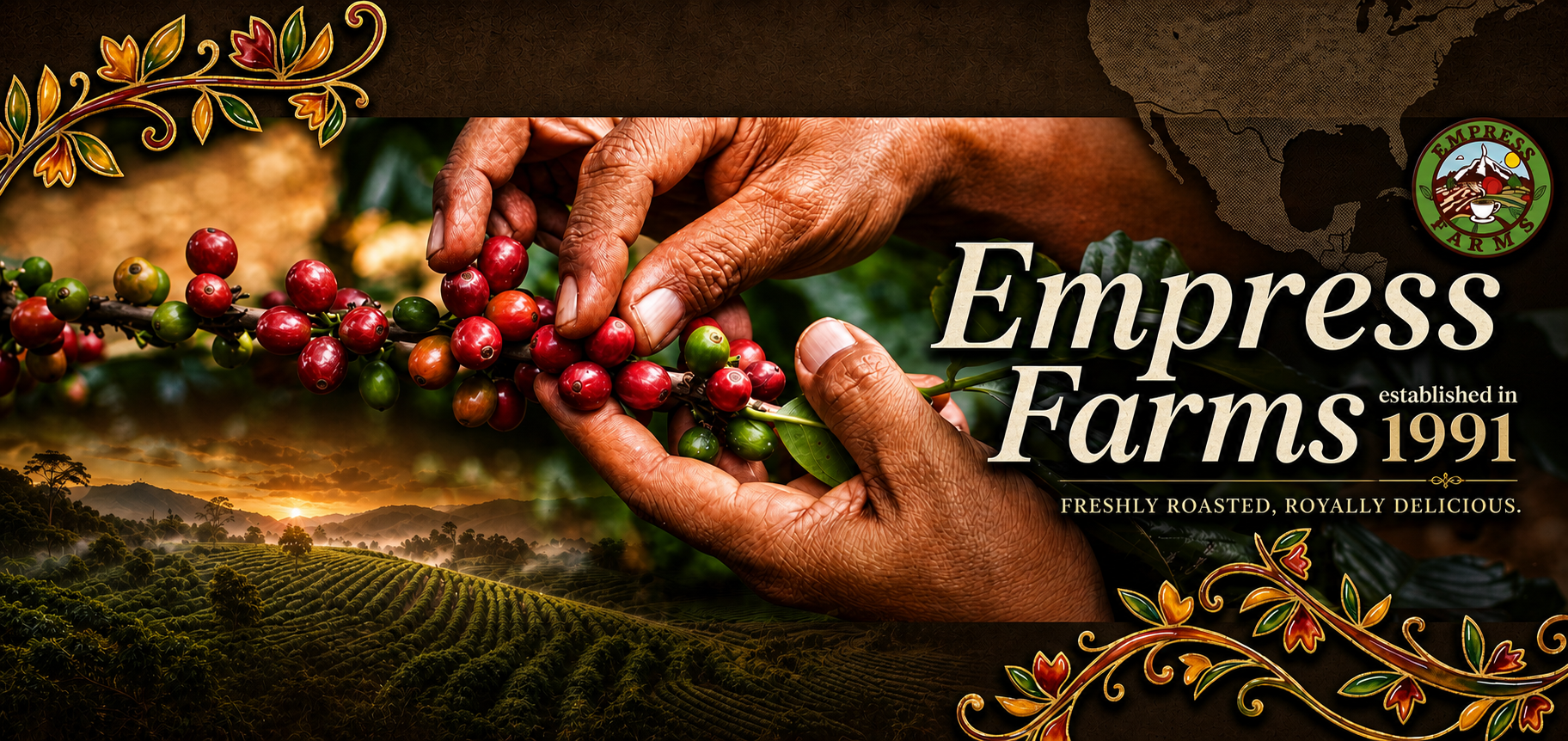 Empress Farms – hands picking fresh coffee cherries on a lush plantation